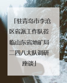 驻青岛市李沧区省派工作队莅临山东省地矿局二四八大队调研座谈