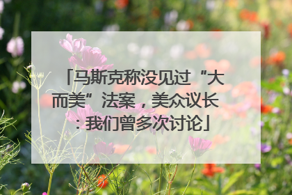 马斯克称没见过“大而美”法案，美众议长：我们曾多次讨论