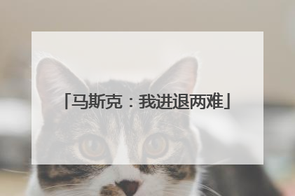 马斯克：我进退两难