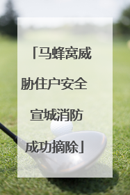 马蜂窝威胁住户安全 宣城消防成功摘除