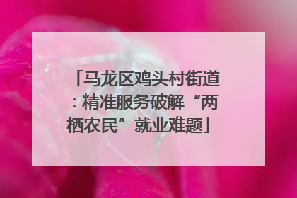 马龙区鸡头村街道：精准服务破解“两栖农民”就业难题