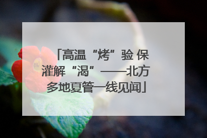 高温“烤”验 保灌解“渴”——北方多地夏管一线见闻