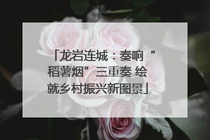 龙岩连城：奏响“稻薯烟”三重奏 绘就乡村振兴新图景