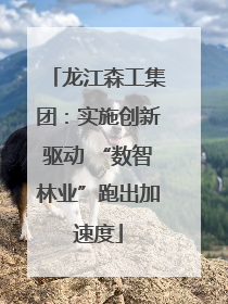 龙江森工集团：实施创新驱动 “数智林业”跑出加速度