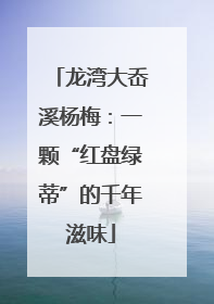 龙湾大岙溪杨梅：一颗“红盘绿蒂”的千年滋味