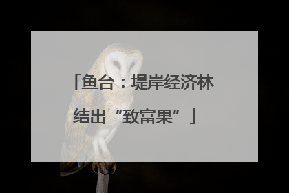 鱼台：堤岸经济林结出“致富果”