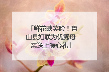 鲜花映笑脸！鲁山县妇联为优秀母亲送上暖心礼
