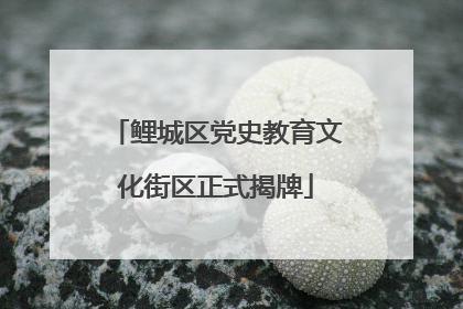 鲤城区党史教育文化街区正式揭牌