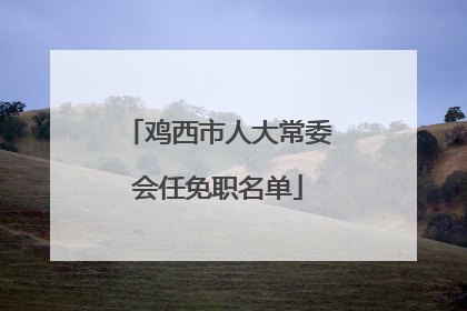 鸡西市人大常委会任免职名单