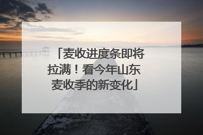 麦收进度条即将拉满！看今年山东麦收季的新变化