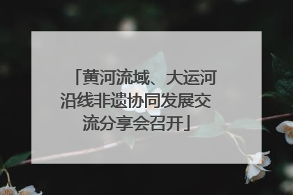 黄河流域、大运河沿线非遗协同发展交流分享会召开