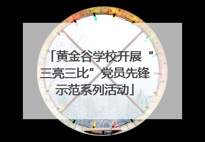 黄金谷学校开展“三亮三比”党员先锋示范系列活动