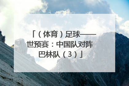 （体育）足球——世预赛：中国队对阵巴林队（3）