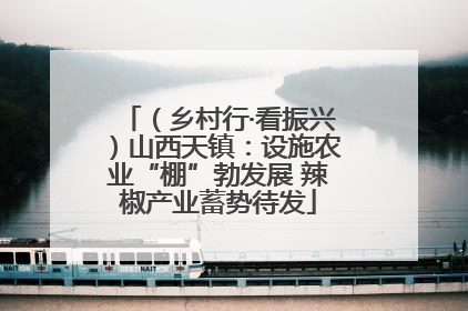 （乡村行·看振兴）山西天镇：设施农业“棚”勃发展 辣椒产业蓄势待发