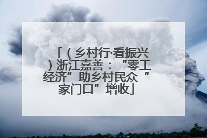 （乡村行·看振兴）浙江嘉善：“零工经济”助乡村民众“家门口”增收