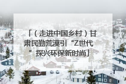 （走进中国乡村）甘肃民勤荒漠引“Z世代”探兴环保新时尚