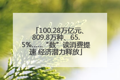 100.28万亿元、809.8万种、65.5%……“数”读消费提速 经济潜力释放