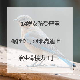 14岁女孩受严重碾挫伤，河北高速上演生命接力！