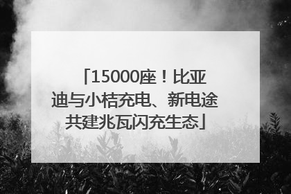 15000座！比亚迪与小桔充电、新电途共建兆瓦闪充生态