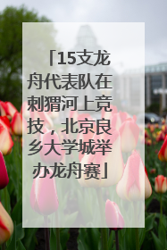 15支龙舟代表队在刺猬河上竞技，北京良乡大学城举办龙舟赛