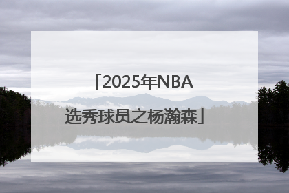 2025年NBA选秀球员之杨瀚森