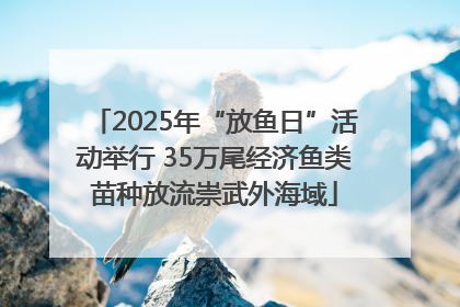 2025年“放鱼日”活动举行 35万尾经济鱼类苗种放流崇武外海域