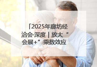 2025年廊坊经洽会·深度｜放大“会展+”乘数效应 打造消费新场景