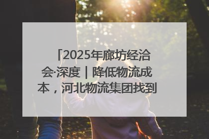 2025年廊坊经洽会·深度｜降低物流成本，河北物流集团找到一把“金钥匙”