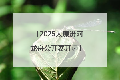 2025太原汾河龙舟公开赛开幕