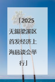 2025无锡梁溪区首发经济上海恳谈会举行