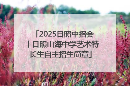 2025日照中招会丨日照山海中学艺术特长生自主招生简章