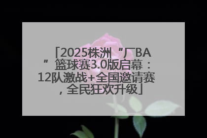2025株洲“厂BA”篮球赛3.0版启幕：12队激战+全国邀请赛，全民狂欢升级