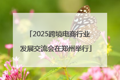 2025跨境电商行业发展交流会在郑州举行
