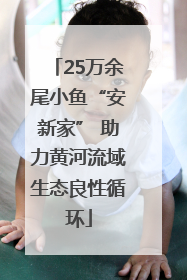 25万余尾小鱼“安新家” 助力黄河流域生态良性循环