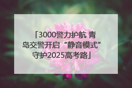 3000警力护航 青岛交警开启“静音模式”守护2025高考路