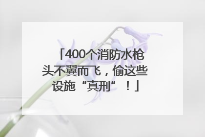 400个消防水枪头不翼而飞，偷这些设施“真刑”！