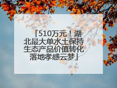 510万元！湖北最大单水土保持生态产品价值转化落地孝感云梦