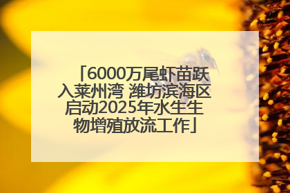6000万尾虾苗跃入莱州湾 潍坊滨海区启动2025年水生生物增殖放流工作