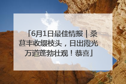 6月1日最佳情报｜桑葚丰收缀枝头，日出霞光万道蓬勃壮观！恭喜