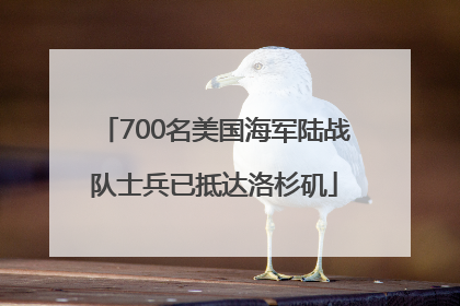 700名美国海军陆战队士兵已抵达洛杉矶