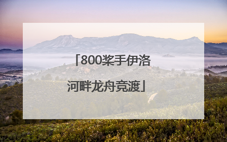 800桨手伊洛河畔龙舟竞渡