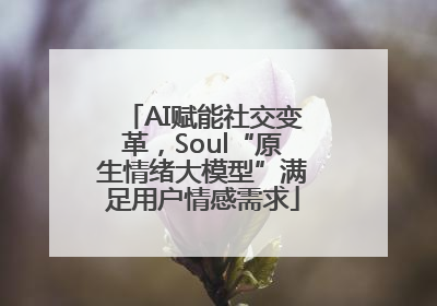 AI赋能社交变革，Soul“原生情绪大模型”满足用户情感需求