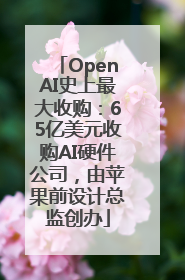 OpenAI史上最大收购：65亿美元收购AI硬件公司，由苹果前设计总监创办