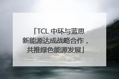 TCL 中环与蓝思新能源达成战略合作，共推绿色能源发展